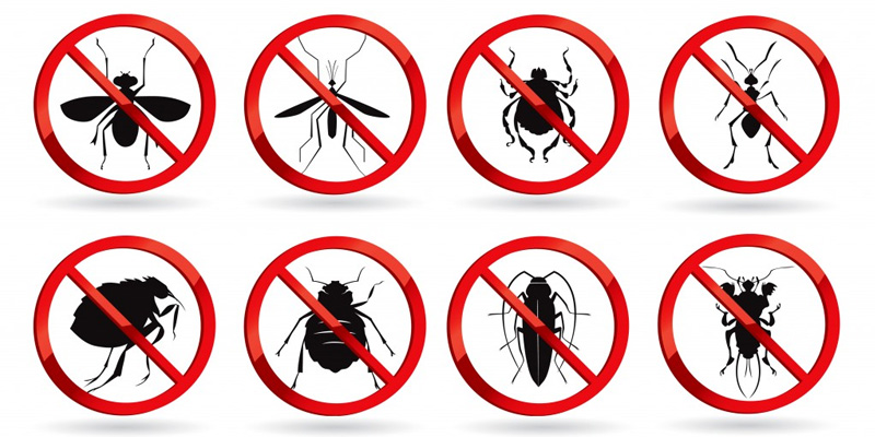 about-pest-control-service